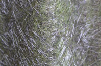 Cumnock fibreglass roof work